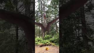 Quetzalcoatlus (Jw Alive)