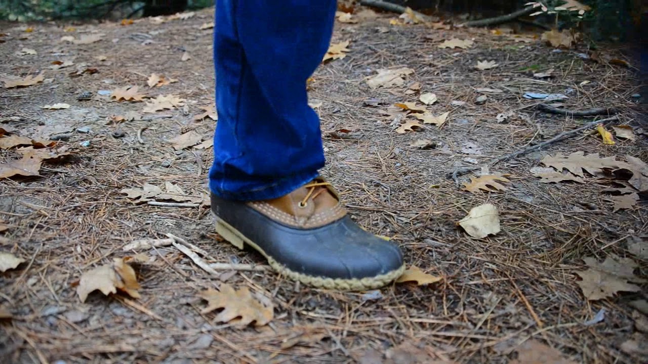 Lynn Copeland for State House: Environmental Champion