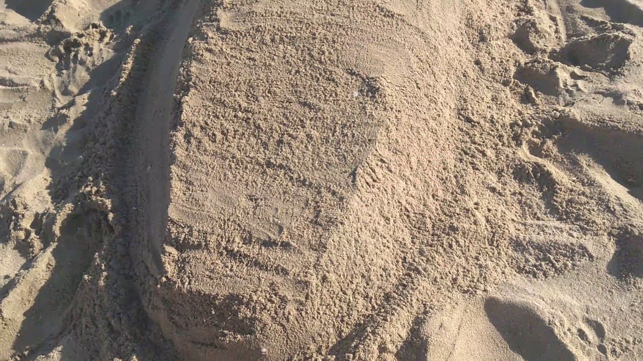 Enterrados en la arena de Puerto Peñasco