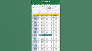 EP55_Excel同时冻结首行和首列高手是怎么做的呢？Excel操作实用技巧演示教学，Excel图表制作。学好Excel，提升工作效率。#Shorts
