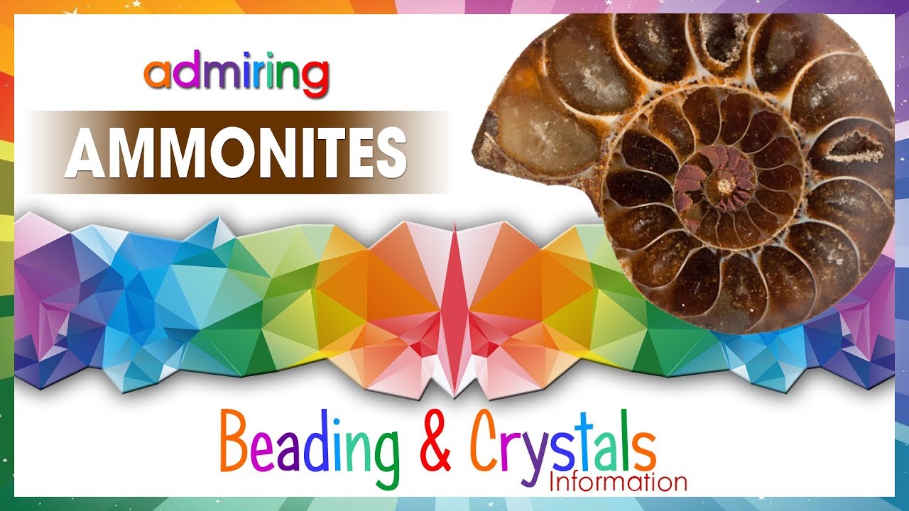 Ammonites Healing Crystal | Crystals and Stones with Healing Properties