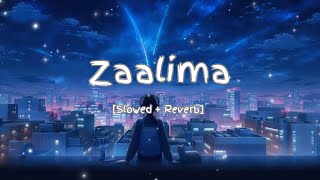 Zaalima (Slowed + Reverb) | Raees | Ankit’s Lofi World