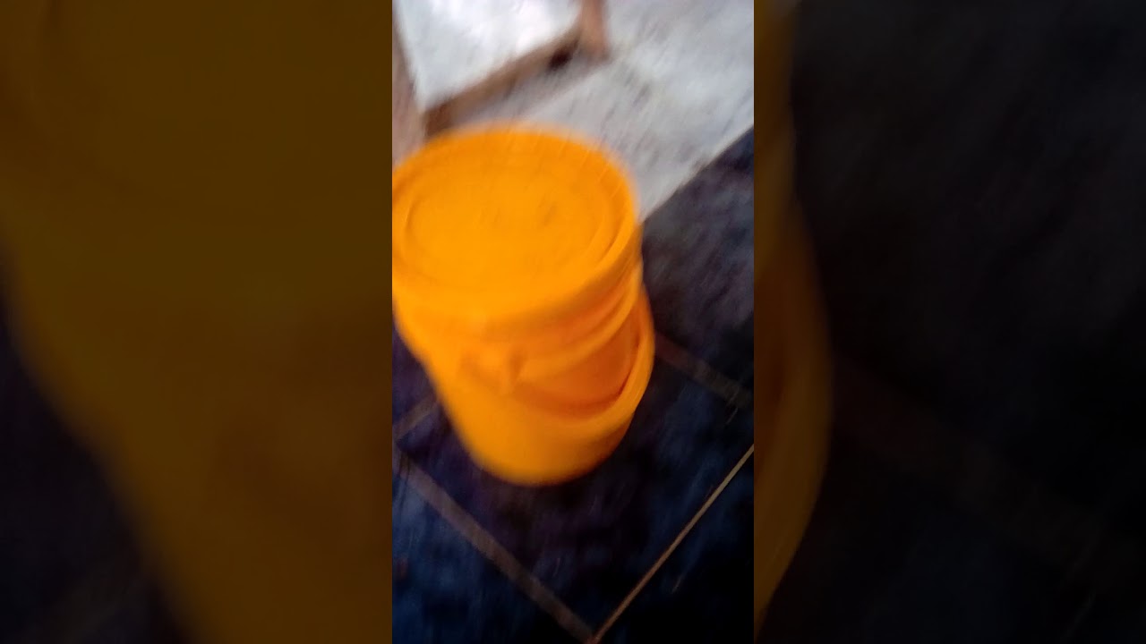 Raider Ants in the Kitchen