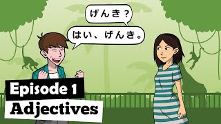 JLPT N5 Grammar: Adjectives
