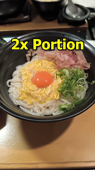 BIG Bowl of Udon in Japan