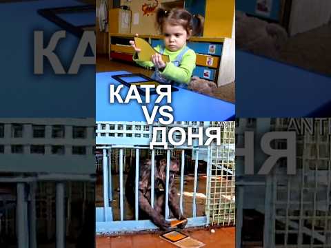 Как человек победил шимпанзе в неравном бою #ученые_против_мифов
