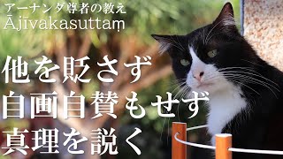 他を貶さず自画自賛もせず真理を説く　アーナンダ尊者の教え「アージーヴィカ経」を読む｜パーリ三蔵読破への道