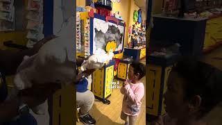 Build-A-Bear Workshop Experience