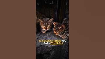 12 Golden Life Lessons You Only Learn With Age | #Shorts #youtubeshorts #goldenthoughts