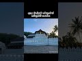 බුදුසරනයි 🌅🌫️🌸🍃 #buddha #daladamaligawa #like #buddhaquotes #fyo