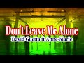 David guetta ft annemarie  dont leave me alone cabelyrics