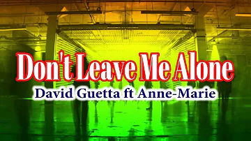 David Guetta ft Anne-Marie - Don't Leave Me Alone (Cabe/Lyrics)