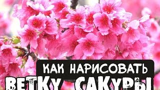 Как нарисовать ветку сакуры? Легкий способ Как нарисовать ветку сакуры(Как нарисовать ветку сакуры? Легкий способ Как нарисовать ветку сакуры. Цветущая ветка сакуры вдохновляла..., 2016-08-03T15:27:53.000Z)