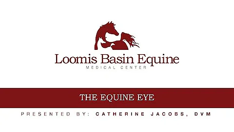 Loomis Basin Equine Medical Center - The Equine Ey...