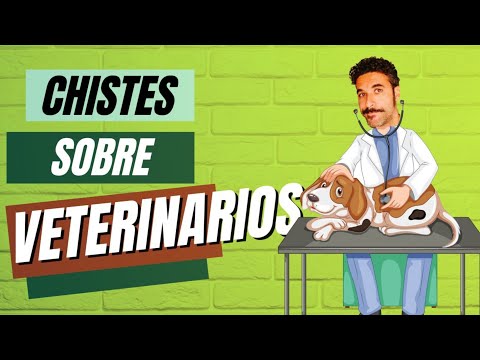 CHISTES DE VETERINARIOS 🐈🐇