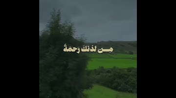 #قرآن #المنشاوي#قران_كريم #quran#muslim#allah#سبحان_الله #سورة_البقرة#اكسبلور #explore#عبد_الرحمن