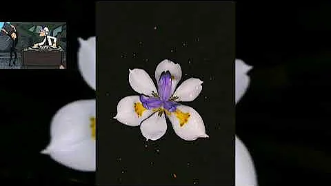 MDeeKay MIX(Afro Deep/Afro beat House)Prince kaybee,Azana,Mthunzi,King monada,Nobuhle