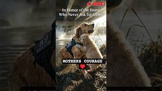 A Bomb, A Bridge, And A Mothers Courage