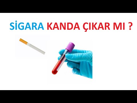 Video: Listeriya qan analizində görünəcəkmi?