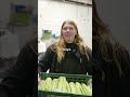 Bleekselderij van Nederlandse bodem bij #BoekelAGF