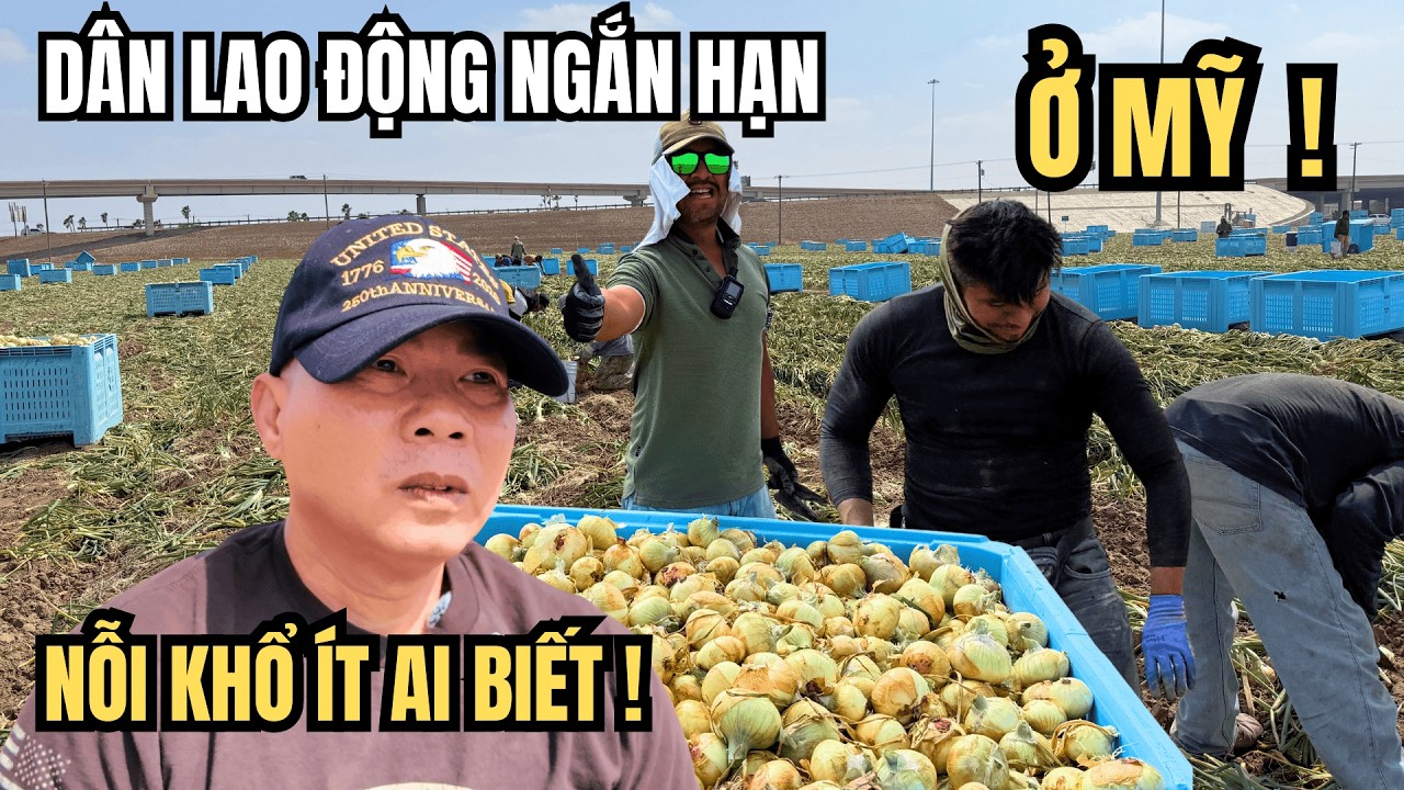 Cuộc Sống Ở Mỹ - Lương Người Lao Động Ngắn Hạn Ở Mỹ Bao Nhiêu ? Điều Kiện Ăn Ở Ra Sao ?