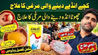 How to Fix Soft and Small Eggs in Chickens | Murgi ke Ande ka Size Kaise Badhaye screenshot 4