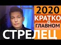 СТРЕЛЕЦ гороскоп 2020 - Дубль 2, кратко гороскоп стрельца в год металлической крысы/ Чудинов