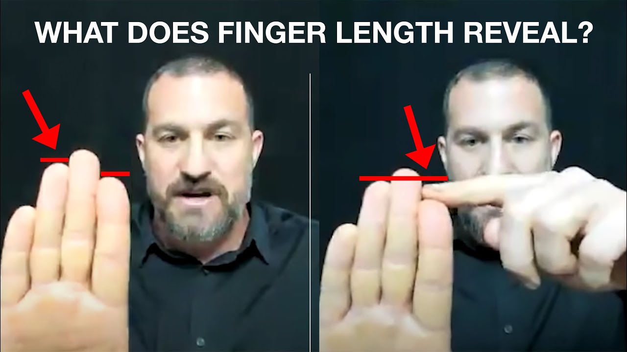 Index Finger Longer than Ring Finger | Ring finger, Pointers, How to run  faster