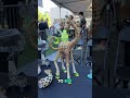 This Year's Puffcon Was Bigger Than Ever | Puffcon 2024 POV Recap
