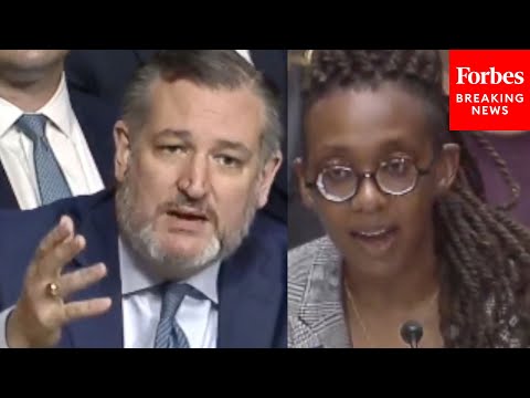 'Is There A Difference Between Women And Men?': Ted Cruz Grills Human Rights Campaign President