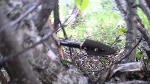 Grizzlystik momentum arrow and massai broadhead