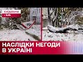 Циклон ПАРАЛІЗУВАВ деякі частини України: повалені дерева і знеструмлені населені пункти