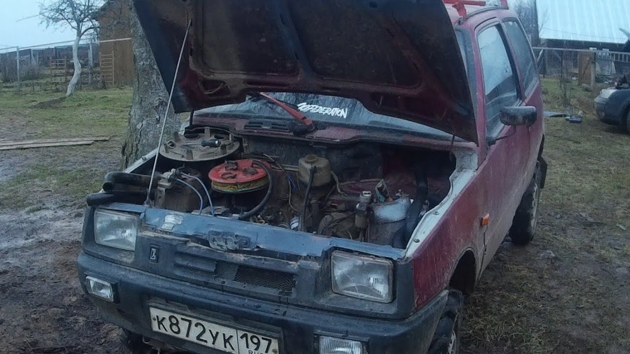 Кот ремонтирует машину