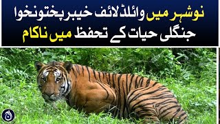 Wildlife in Nowshera Khyber Pakhtunkhwa failed to protect animals - Aaj News