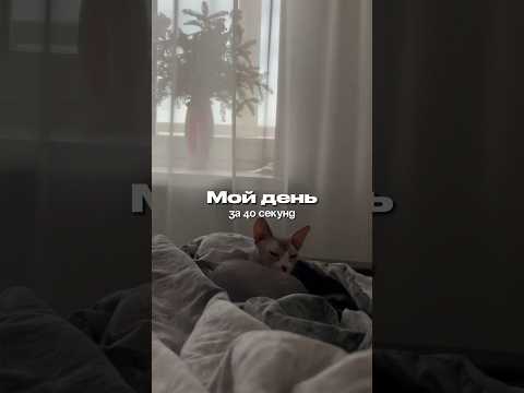 оставайся с нами! будем радовать тебя новыми видео 🫶🏻 #влог #shorts