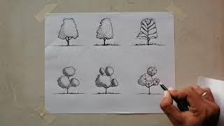 Como realizar vegetación, arquitectura
