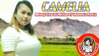 Viral New Populer Camelia Terbaru Melody Slow With Vina Panduwinata feat Militan 87 Indonesia Remix
