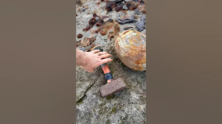 EMPTY Rock Cracked Open!