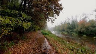 Rain Sound 30s