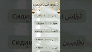 Глагол *сижу* в арабском языке #учимарабский #учиарабский #учисьсомной