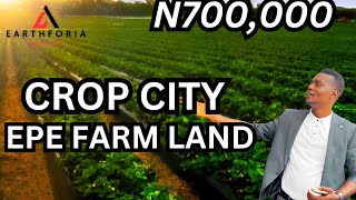 Most Affordable Farmland for sale in Epe Lagos Nigeria.