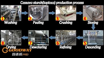 Cassava Starch Production Line In Gambia