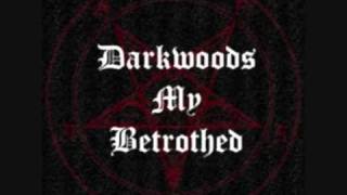 Watch Darkwoods My Betrothed Witch Hunters video