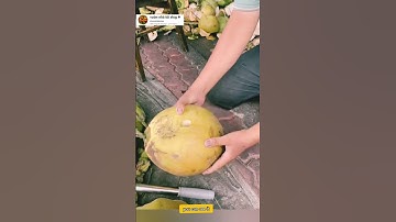dụng cụ lấy nước dừa cực nhanh #garden #videoviral