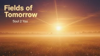 Fields of Tomorrow 🌾 – Soul 2 You | Hopeful Retro Soul Ballad about New Beginnings #soul2you