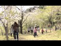 今回で最後 竹香園桜まつり