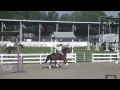 Siobhan and epona round 1 26 jumpers dcf