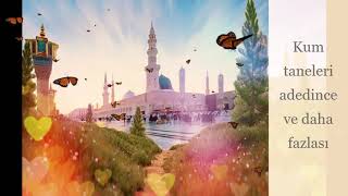 ARAPÇA NAAT ''Sella Aleykallah ya Hayrel Vera''  TÜRKÇE ÇEVİRİSİYLE. #naat #nasheed #NEŞİD