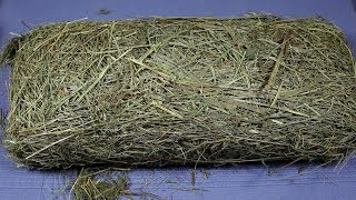 ASMR Hay Meadow ASMR Hay Meadow