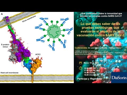 Vídeo: Desarrollo De Una Vacuna Contra El VIH Utilizando Un Vector Del Virus De La Estomatitis Vesicular Que Expresa Las Glicoproteínas De La Envoltura Del VIH-1 De Diseño Para Mejorar La